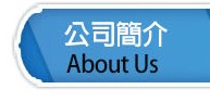 公司簡介