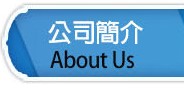 公司簡介